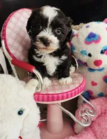 processed/fcb67238-7127-47c9-9725-0955be2c777b/listing/855dd1f2-c30f-48bb-9092-75bae953ab0c/be12fc04-dd0d-4de1-86d1-578537ff2c49