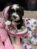 processed/fcb67238-7127-47c9-9725-0955be2c777b/listing/855dd1f2-c30f-48bb-9092-75bae953ab0c/f5c8ebb4-78d2-4e7d-9eeb-c9fc10f256c4