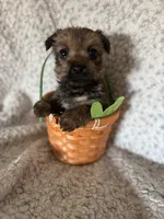 processed/fcb67238-7127-47c9-9725-0955be2c777b/listing/88c4030f-b1bc-4cd1-8e85-22f3ecc66a60/1726e540-f40a-46b3-b0de-bbe1f7071e30