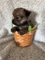 processed/fcb67238-7127-47c9-9725-0955be2c777b/listing/88c4030f-b1bc-4cd1-8e85-22f3ecc66a60/79e9ece4-b339-4050-bdef-897b0ead141b