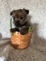 processed/fcb67238-7127-47c9-9725-0955be2c777b/listing/88c4030f-b1bc-4cd1-8e85-22f3ecc66a60/a31c9a3f-3dc1-4d72-8670-a86a273f9a7f