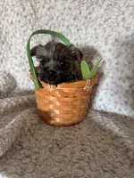 processed/fcb67238-7127-47c9-9725-0955be2c777b/listing/9f7a957b-0ad3-42a5-9454-2434f1113021/41abf085-dcef-4bd6-ba74-4872382b0557