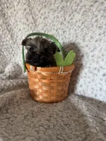 processed/fcb67238-7127-47c9-9725-0955be2c777b/listing/9f7a957b-0ad3-42a5-9454-2434f1113021/5102a30b-17d9-4576-9df7-4b033c4a1d93