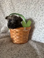 processed/fcb67238-7127-47c9-9725-0955be2c777b/listing/9f7a957b-0ad3-42a5-9454-2434f1113021/6ecf5d88-4130-4aa4-8d29-56feff5993f0