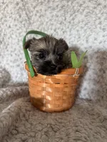 processed/fcb67238-7127-47c9-9725-0955be2c777b/listing/9f7a957b-0ad3-42a5-9454-2434f1113021/9406eb5e-4ef9-4cfa-a17e-825a4553d8cd