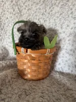 processed/fcb67238-7127-47c9-9725-0955be2c777b/listing/9f7a957b-0ad3-42a5-9454-2434f1113021/b91247de-f173-460c-a1d3-fd3207269c7d