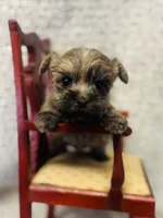 processed/fcb67238-7127-47c9-9725-0955be2c777b/listing/9f7a957b-0ad3-42a5-9454-2434f1113021/e709e720-a64c-4357-a1bc-39c57c23518d