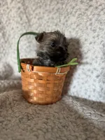 processed/fcb67238-7127-47c9-9725-0955be2c777b/listing/9f7a957b-0ad3-42a5-9454-2434f1113021/f1ca4d40-b233-462b-a873-6af42ac4bb45