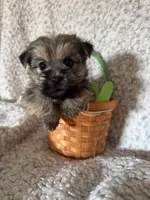 processed/fcb67238-7127-47c9-9725-0955be2c777b/listing/f75344d0-e207-4062-bdc3-62c27c3b4ab6/0d07975e-8064-4e86-8a5c-55da09eff730