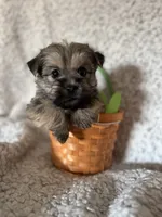 processed/fcb67238-7127-47c9-9725-0955be2c777b/listing/f75344d0-e207-4062-bdc3-62c27c3b4ab6/4f9ca408-e494-41e1-9e3a-53d9e47e570d