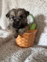 processed/fcb67238-7127-47c9-9725-0955be2c777b/listing/f75344d0-e207-4062-bdc3-62c27c3b4ab6/959329a9-1826-4278-b761-e5507f57929e