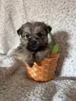 processed/fcb67238-7127-47c9-9725-0955be2c777b/listing/f75344d0-e207-4062-bdc3-62c27c3b4ab6/9ac64aad-e843-47f7-8e67-a78804bb2a4f