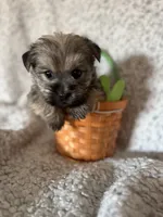 processed/fcb67238-7127-47c9-9725-0955be2c777b/listing/f75344d0-e207-4062-bdc3-62c27c3b4ab6/ac6ecbf4-6ccb-4775-82bf-7cae15faa40f