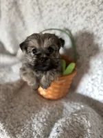 processed/fcb67238-7127-47c9-9725-0955be2c777b/listing/f75344d0-e207-4062-bdc3-62c27c3b4ab6/f01c8adb-6fb2-474e-8f30-61d83e26ac0b