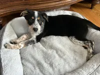 processed/fcbb5977-9614-4f4c-a60d-10b518c68b70/listing/d8009e79-edfa-411d-8c89-cb2f88bc237a/d5351f9b-6fc6-45e0-a865-c88ba951fd31