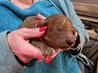 processed/fcbecf90-0a25-413e-927b-55b6f67d2d04/listing/44253f09-c5c7-4208-866b-f2328f0a866f/04546bf2-13c9-4a2c-b27d-256f046549d0