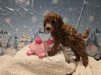 processed/fcbecf90-0a25-413e-927b-55b6f67d2d04/listing/44253f09-c5c7-4208-866b-f2328f0a866f/9de41102-0dcc-402c-84be-0829985d67de