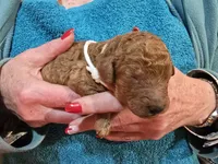 processed/fcbecf90-0a25-413e-927b-55b6f67d2d04/listing/d578b413-f18f-4e90-81f0-2af2a72d7fa8/eec33c06-0ae6-48da-b069-2ecd5894793d