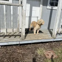 processed/fccc1359-7d60-4f78-886f-77187edc5c03/facility/3ea863cb-fdd2-4186-87ec-149069d06500