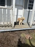 processed/fccc1359-7d60-4f78-886f-77187edc5c03/facility/3ea863cb-fdd2-4186-87ec-149069d06500