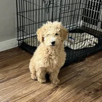 processed/fccc1359-7d60-4f78-886f-77187edc5c03/facility/4430acef-3ef1-4b01-bfa8-84493eb95e7d