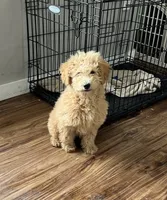 processed/fccc1359-7d60-4f78-886f-77187edc5c03/facility/4430acef-3ef1-4b01-bfa8-84493eb95e7d