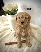 processed/fccc1359-7d60-4f78-886f-77187edc5c03/listing/0e6cd690-3768-4c47-b2dc-59a000642a08/4a021ac7-96b7-4943-880d-0f6ab200f157