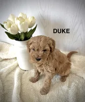 processed/fccc1359-7d60-4f78-886f-77187edc5c03/listing/0e6cd690-3768-4c47-b2dc-59a000642a08/92be017e-c555-43b8-9ddc-e69fb0a09fe8