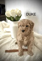 processed/fccc1359-7d60-4f78-886f-77187edc5c03/listing/0e6cd690-3768-4c47-b2dc-59a000642a08/a970db52-054b-4508-a50a-c428a9648005