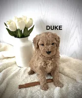 processed/fccc1359-7d60-4f78-886f-77187edc5c03/listing/0e6cd690-3768-4c47-b2dc-59a000642a08/f93d8b65-1759-462f-ad49-f4f5e9d797d3