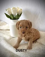 processed/fccc1359-7d60-4f78-886f-77187edc5c03/listing/5914da55-ddc9-4e06-8259-53983f134a7b/56ba4a2c-762b-428e-b52f-0c53e3bc82e2