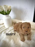 processed/fccc1359-7d60-4f78-886f-77187edc5c03/listing/5914da55-ddc9-4e06-8259-53983f134a7b/7842cdb7-116d-4e14-a913-7abd90445216