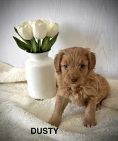 processed/fccc1359-7d60-4f78-886f-77187edc5c03/listing/5914da55-ddc9-4e06-8259-53983f134a7b/c5f7de96-c80d-4408-86dd-0120a99b0ead