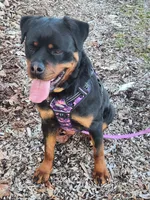 processed/fccd0627-2357-4bdd-99e9-4916017099b1/facility/eb18e9ae-604f-42bc-a11f-3ffcb3b2a8e5