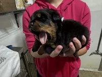 processed/fccd0627-2357-4bdd-99e9-4916017099b1/listing/0838ea0b-82b4-49db-a046-e0808b184949/37a8a159-31fb-4a4a-a81d-f0601c866ab5