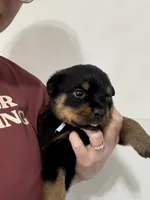 processed/fccd0627-2357-4bdd-99e9-4916017099b1/listing/0838ea0b-82b4-49db-a046-e0808b184949/96314482-e8c3-4f6f-b6f7-408f0cf786b9