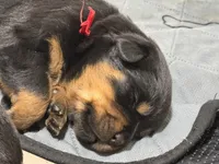 processed/fccd0627-2357-4bdd-99e9-4916017099b1/listing/5b25034a-1b2e-4f0a-b166-6d3449c997b7/3eecd90e-b06a-4018-aee9-f93c6ef104ec