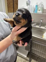 processed/fccd0627-2357-4bdd-99e9-4916017099b1/listing/5b25034a-1b2e-4f0a-b166-6d3449c997b7/86e241bf-8d6d-4c54-8865-e094e886230f