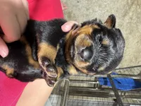 processed/fccd0627-2357-4bdd-99e9-4916017099b1/listing/5b25034a-1b2e-4f0a-b166-6d3449c997b7/8af3b5d3-67ce-4c44-81bf-6590eab25445