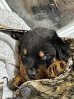 processed/fccd0627-2357-4bdd-99e9-4916017099b1/listing/5b25034a-1b2e-4f0a-b166-6d3449c997b7/ec714cac-dc9b-4670-b927-abc0bb9e0092