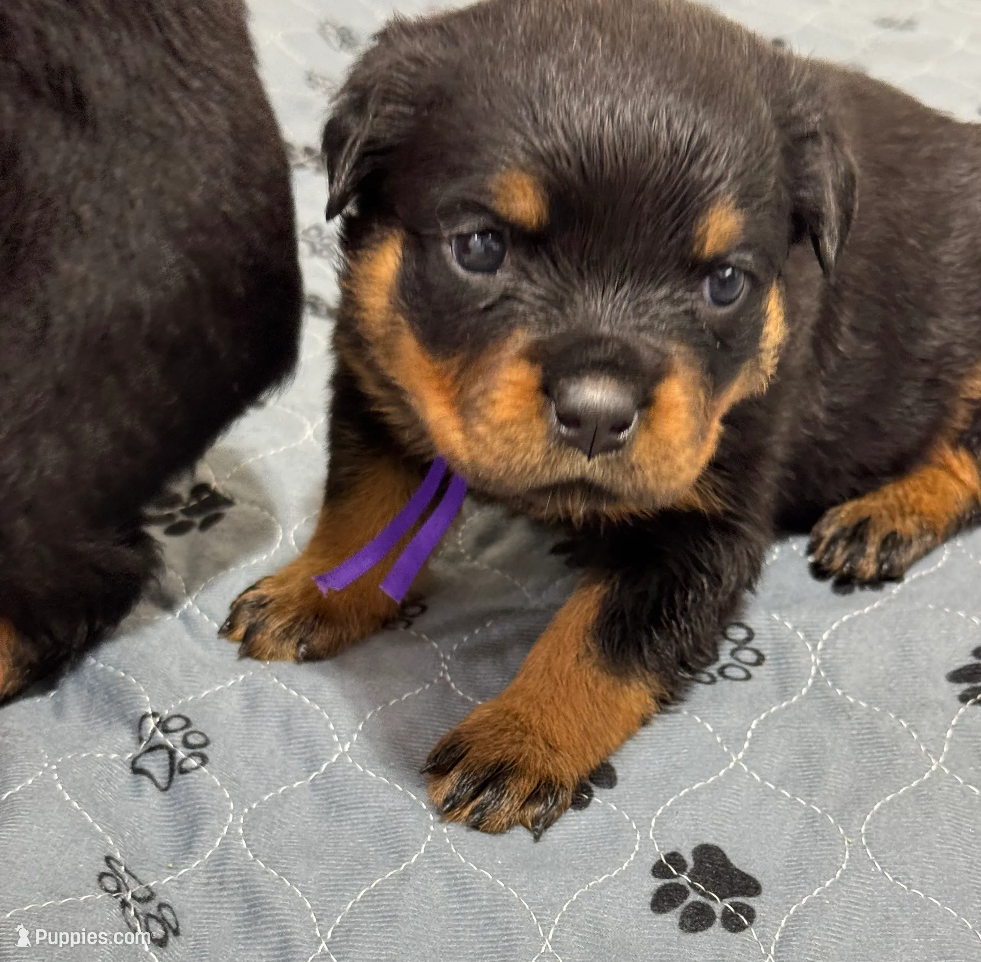 processed/fccd0627-2357-4bdd-99e9-4916017099b1/listing/cdec91a5-a2dd-4b2f-9f6f-03275c246bf2/848f7c28-3556-4d36-81ce-674f282f14b9