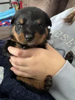 processed/fccd0627-2357-4bdd-99e9-4916017099b1/listing/cdec91a5-a2dd-4b2f-9f6f-03275c246bf2/9359c1e8-9f4e-4b98-b9ca-72ad3d2f50ea