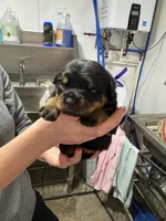 processed/fccd0627-2357-4bdd-99e9-4916017099b1/listing/cdec91a5-a2dd-4b2f-9f6f-03275c246bf2/a4ca5ae7-9747-4ee2-b2f2-ffd1b8f19c6a