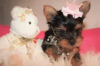 processed/fccffc85-331c-4d3e-a76a-00ad0a79642d/facility/0ba42d8c-d6c4-4314-89bb-41579920c315