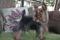 processed/fccffc85-331c-4d3e-a76a-00ad0a79642d/facility/65462e9b-2ac6-436b-bd2b-a408a899c2f7