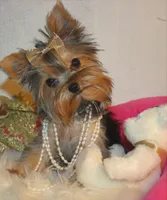 processed/fccffc85-331c-4d3e-a76a-00ad0a79642d/facility/e31d1d96-ccf5-459a-8cd7-7190bdd85692