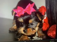 processed/fccffc85-331c-4d3e-a76a-00ad0a79642d/facility/e3d1835f-3a14-4d85-a0fa-a409ca11629c