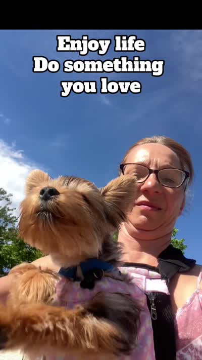 Winton, a male Yorkshire Terrier for sale in Concord, NH – 3 of 6