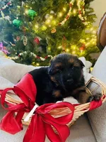 processed/fcdf36f9-c6a1-4f05-b196-702f597f6edb/listing/dbe17532-d9c3-43df-8f01-695c6e294fb8/0f63f8d3-907d-4226-9ece-2bd100126b0d