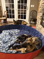 processed/fcdf36f9-c6a1-4f05-b196-702f597f6edb/listing/dbe17532-d9c3-43df-8f01-695c6e294fb8/42d8d22a-1d2f-486d-afb1-4ae083f27acc